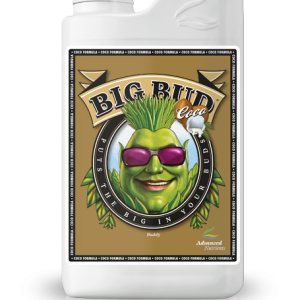 Big Bud Coco