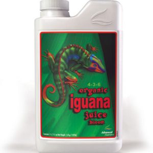 iguana juice bloom 2