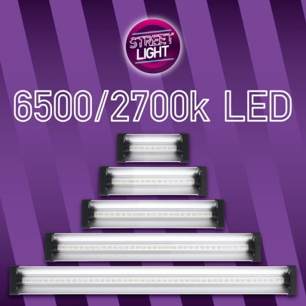 led lighting by street light led s please choose your led size colour spectrum 60cm 2700k 24w street light led red flower stage 0 0 p