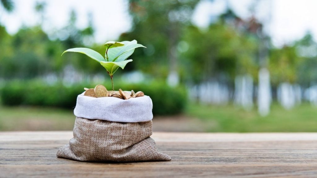 growing bags