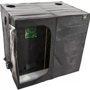 X Qube scaled 1