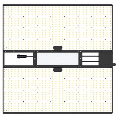 calitek quantum bears 260 (1)