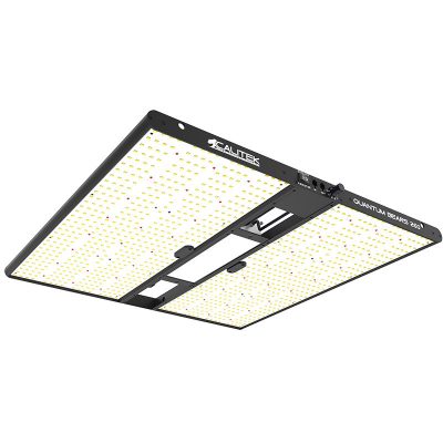 calitek quantum bears 260 (3)