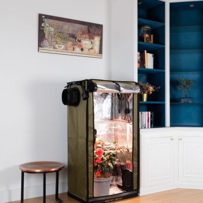 SECRET JARDIN FOR TWENTY 100 GROW STATION