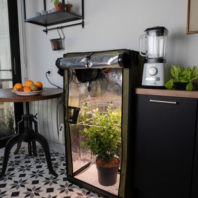 SECRET JARDIN FOR TWENTY 100 GROW STATION - Image 7